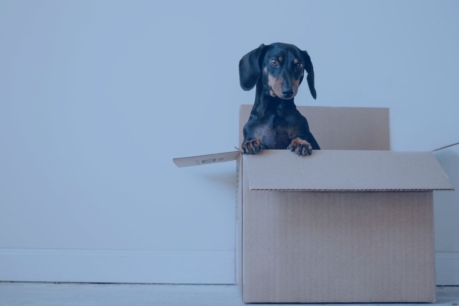 packing boxes