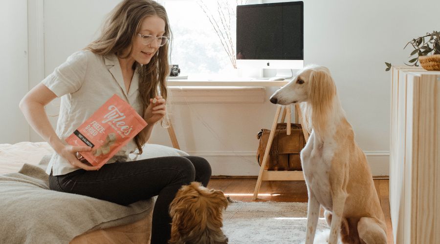 dog settling into new home with owner