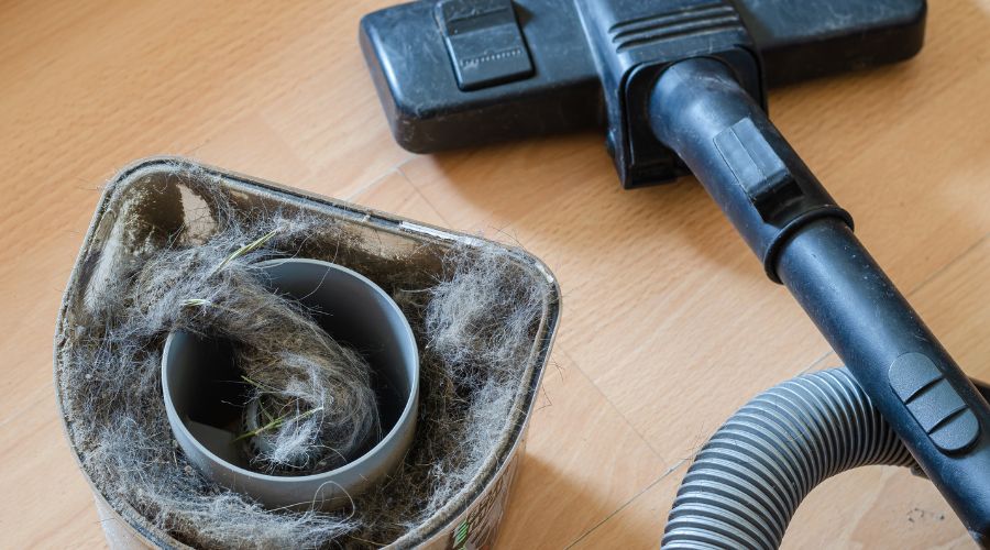 Disassembling a vacuum cleaner for moving house