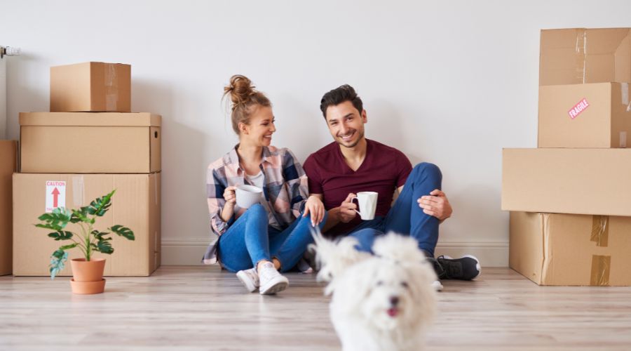 Do dogs get stressed when moving