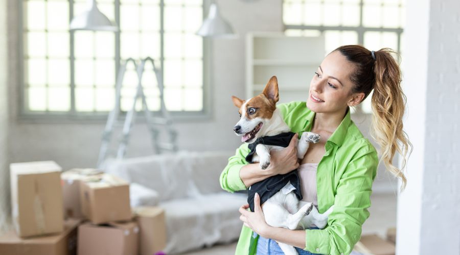 Do dogs feel stressed when moving house